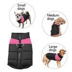 Waterproof Dog Jacket | For Small & Large Dogs