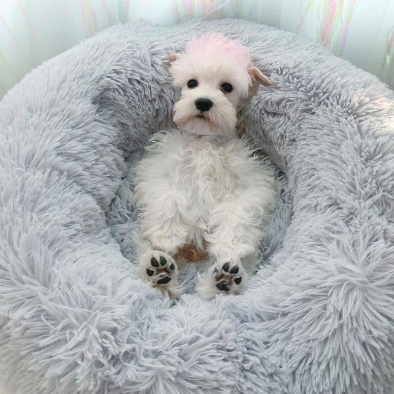 The Fluffpup™ | Calming Bed